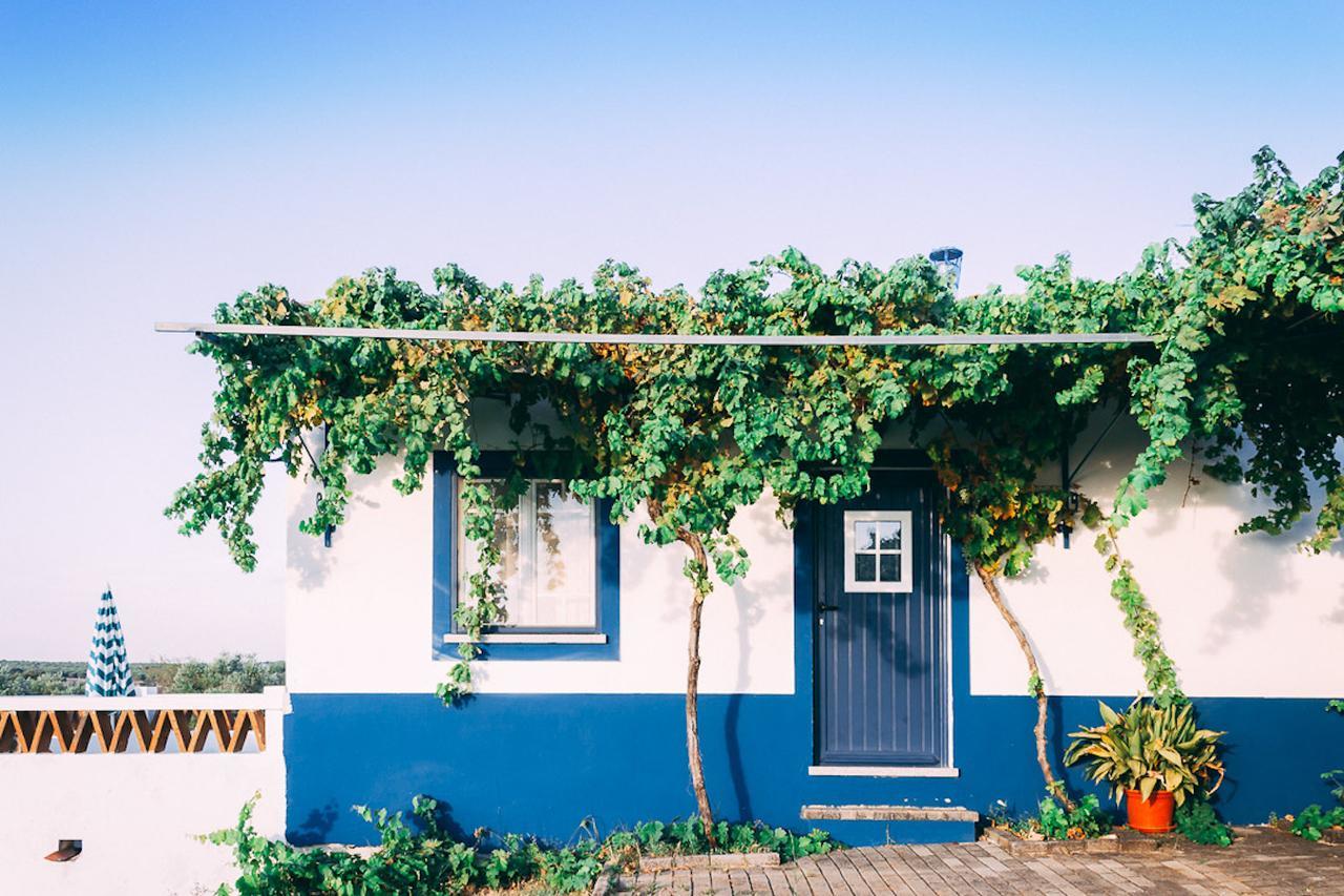 Monte Do Colmeal - Country House & Wine Mourão Exterior photo